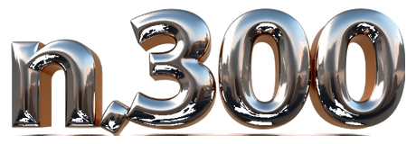 n 300 logo